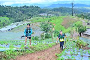 BIB: 1058
                            <button type="button" onclick="openModal(13378930)" class="btn btn-primary btn-sm float-right btn-popup" data-toggle="modal" data-target=".modal-high-quality">
                        <i class="fas fa-shopping-cart"></i> Add to Cart
                    </button>
                                            <button type="button" onclick="isThisMe(13378930, true)" class="btn btn-success btn-sm float-right btn-popup btn-isme hidden" data-toggle="tooltip" data-placement="bottom" title="นี่คือรูปของคุณใช่ไหม คลิกที่นี่เพื่อเอาเข้าอัลบั้ม">
                        <i class="fas fa-plus"></i> Add to album
                    </button>
                    <button type="button" onclick="isThisMe(13378930, false)" class="btn btn-warning btn-sm float-right btn-popup btn-isnotme hidden">
                        <i class="fas fa-ban"></i> Remove from album
                    </button>